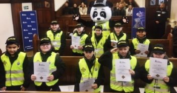Mini-police