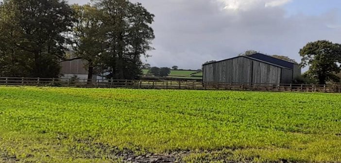 farm buildings