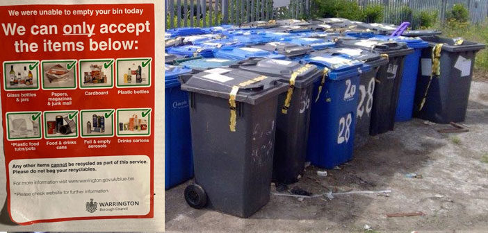 blue bins