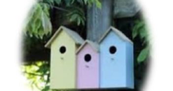 Bird, bug and bat