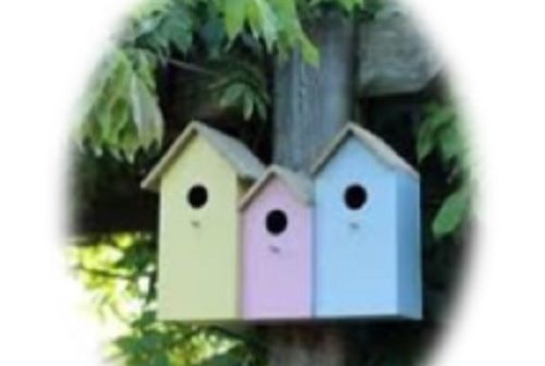 Bird, bug and bat