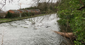 bridgewater canal