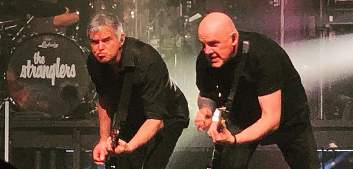 The Stranglers