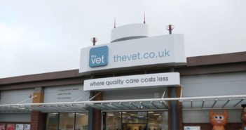 The vets