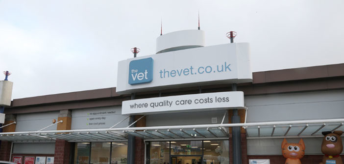 The vets