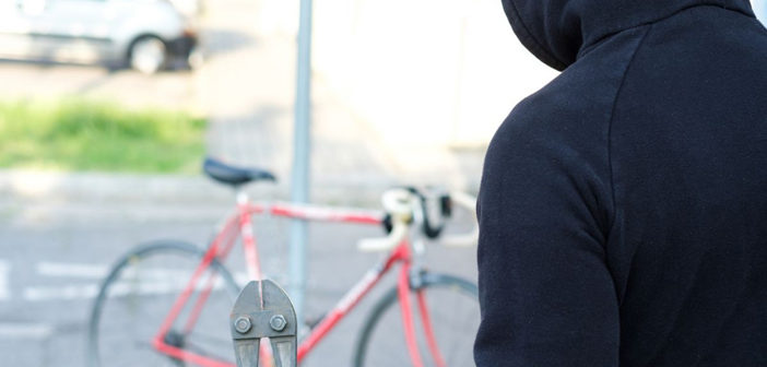 cycle thefts