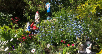 garden gnomes