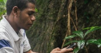 protect the rainforests