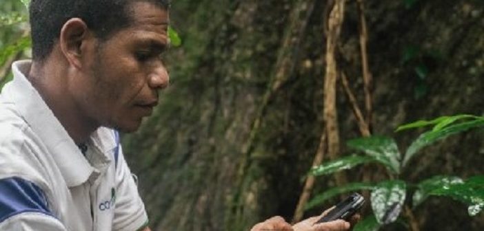 protect the rainforests
