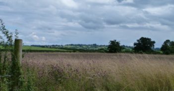 nature reserve