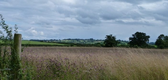 nature reserve