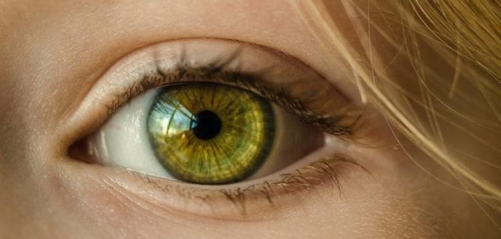 eyes