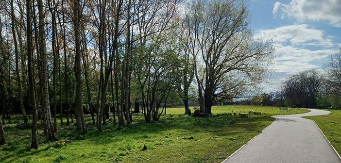Longbarn Park