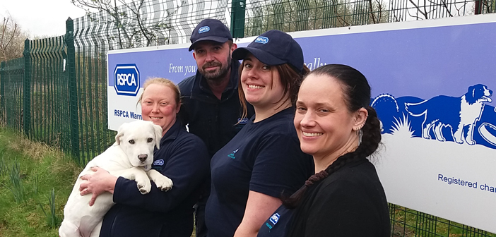 animal charity