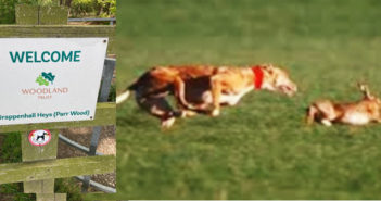 hare coursing
