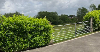 green belt