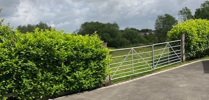 green belt