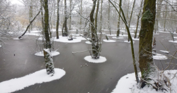 seasonal effective disorder