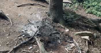fires in the open