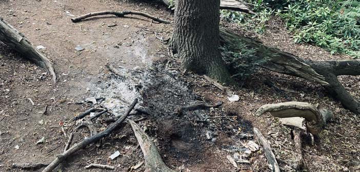 fires in the open