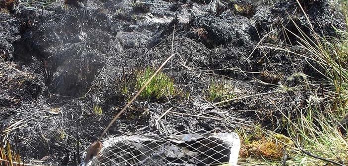 disposable barbecues
