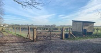 dog exercise park