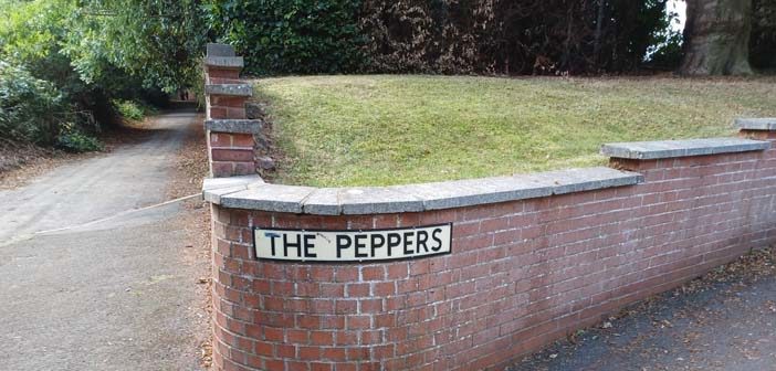 The Peppers