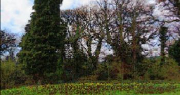 phone mast