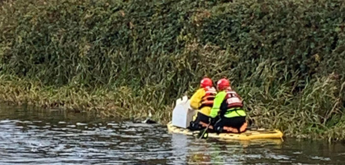 rescue