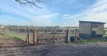 dog exercise park