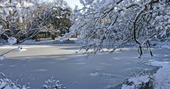 frozen water