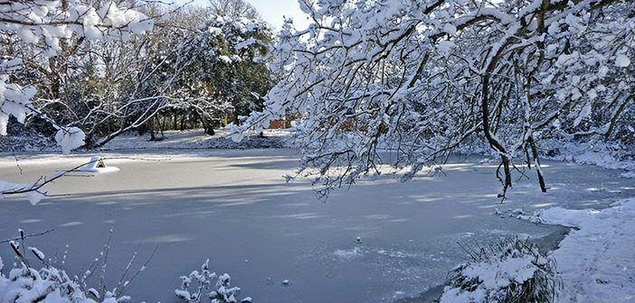 frozen water