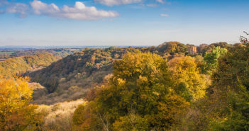 Woodland Trust