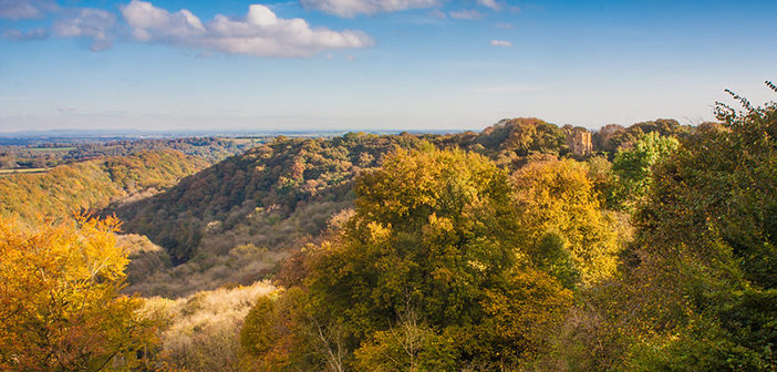 Woodland Trust