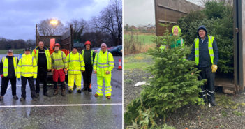 Christmas tree collection