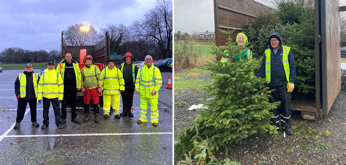 Christmas tree collection