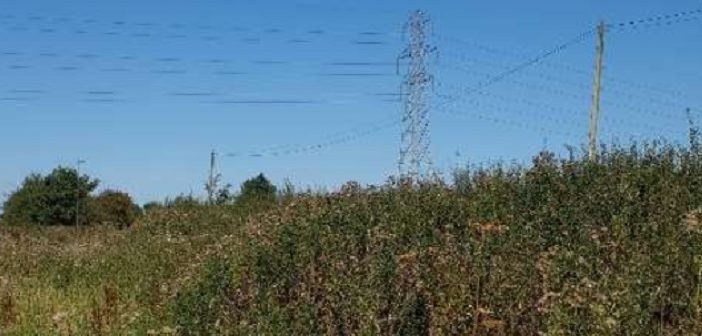 winwick