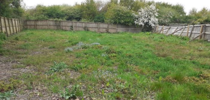 Greenfield site