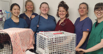 Warrington Animal Welfare