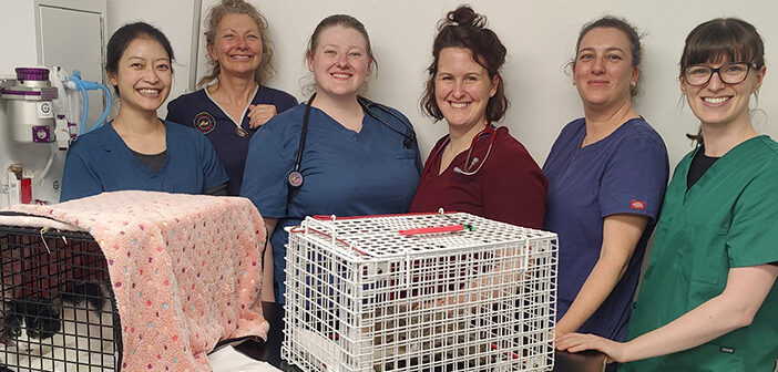 Warrington Animal Welfare