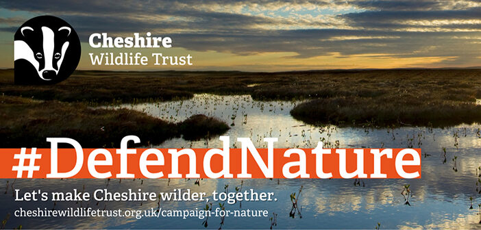 Cheshire Wildlife Trust