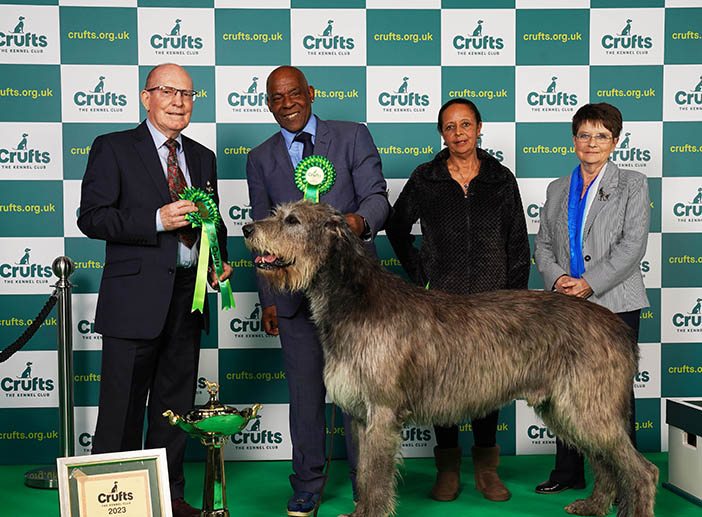 Irish Wolfhound from Warrington wins place in Crufts final but misses