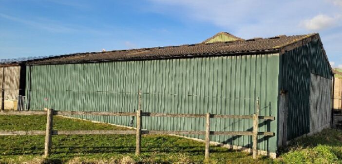 New bid for dog day care centre