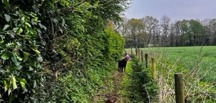 Footpath campaigner