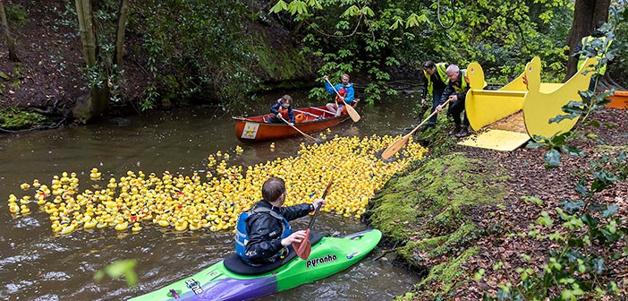 duck race