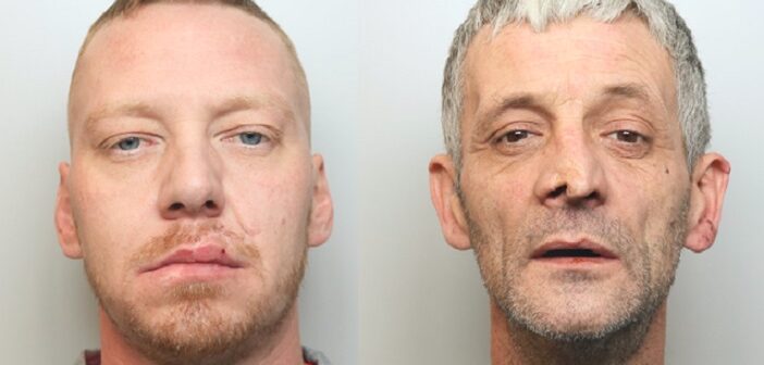 £100,000 worth of cannabis seized