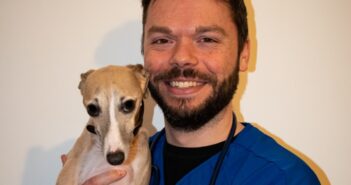 neutering female dogs
