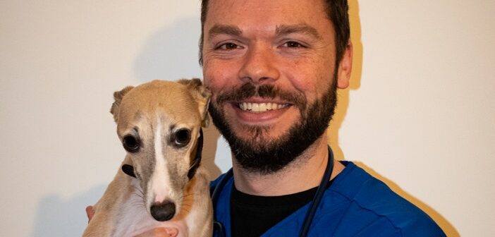 neutering female dogs