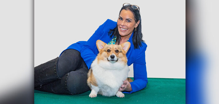 Pets place best sale online