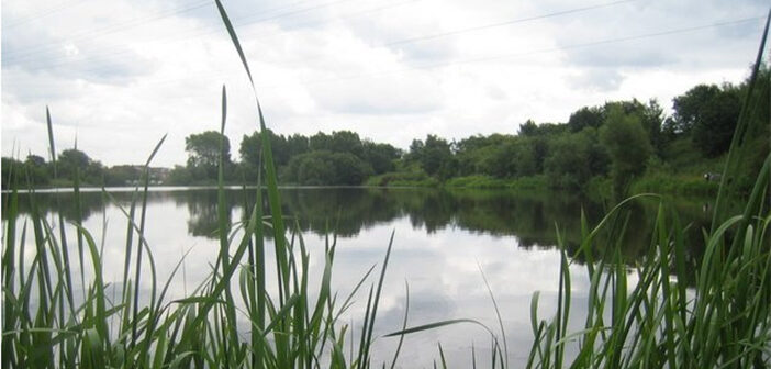 anglers